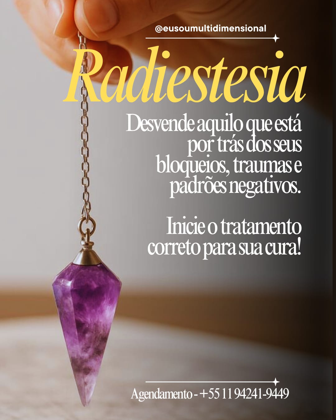 WhatsApp Image 2026-02-05 at 15.21.55