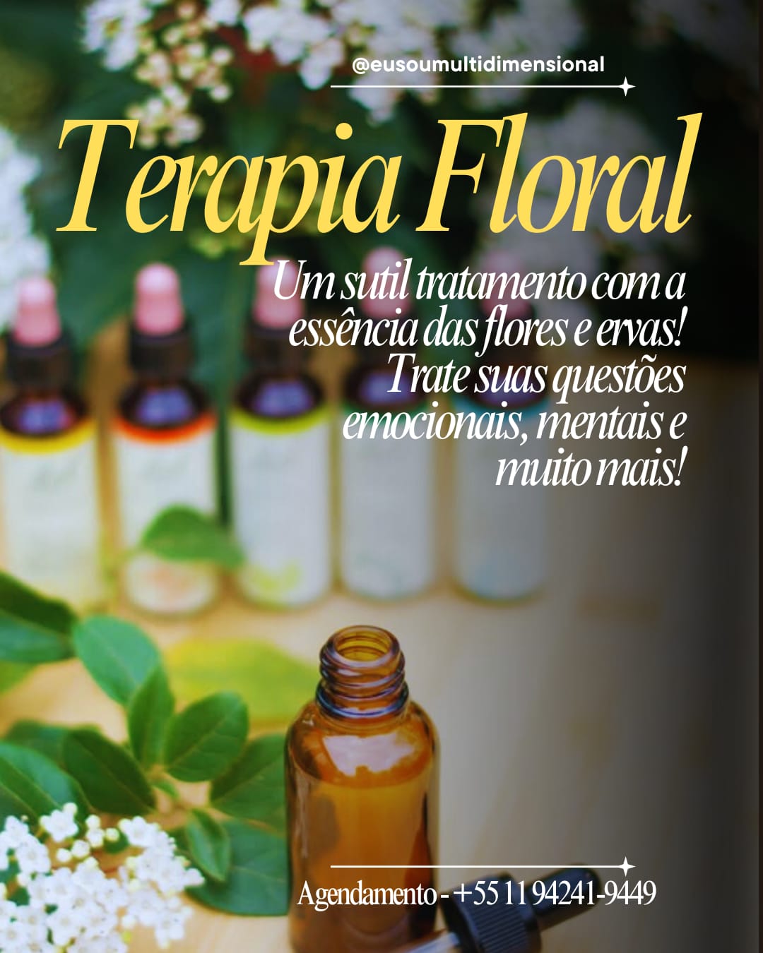 WhatsApp Image 2026-02-05 at 15.21.55(3)